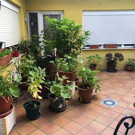 Hostal Escartin Sabiñánigo エクステリア 写真