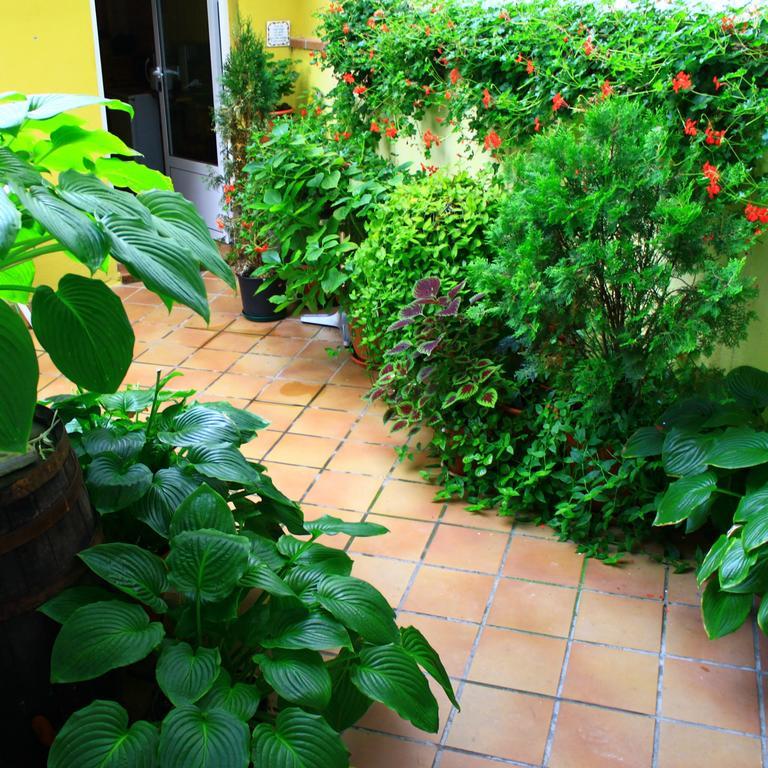 Hostal Escartin Sabiñánigo エクステリア 写真