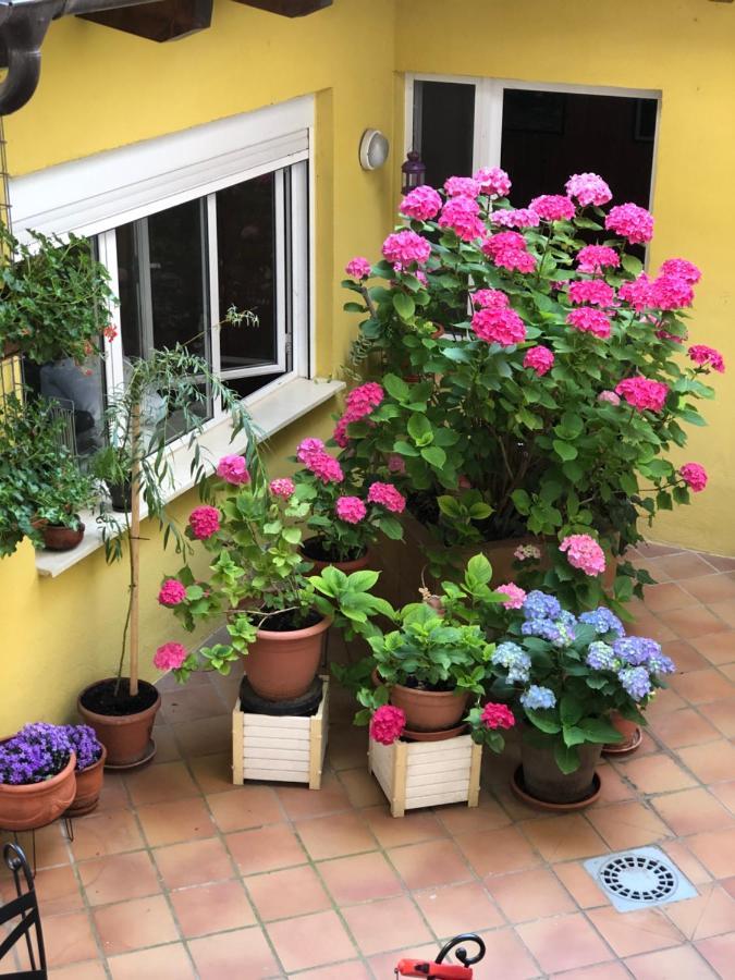 Hostal Escartin Sabiñánigo エクステリア 写真
